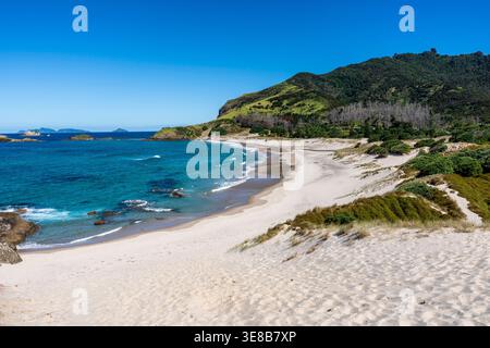 Ocean Beach, Whangarei Heads, Northland, Nouvelle-Zélande. Banque D'Images