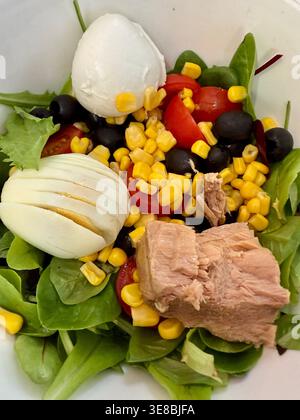 Gros plan de salade de tun avec des œufs durs, du maïs, des tomates et des olives dans un bol blanc. Pris dans un restaurant. Personne Banque D'Images