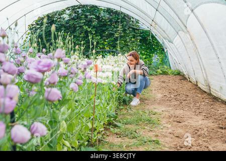 Femme souriante fleuriste accroupissant dans un polytunnel de serre tendant à des rangées d'eustoma fleurissant comme concept de la culture florale durable et Happy Smal Banque D'Images