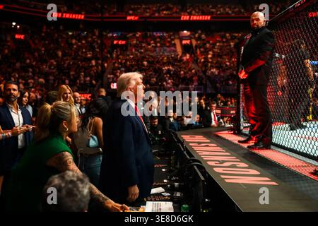 Le président Donald J. Trump se tient à côté d'un combat lors de l'UFC 327 au Kaseya Center de Miami, le 11 avril 2026. Image reproduite avec l'aimable autorisation de la Maison Blanche. Banque D'Images