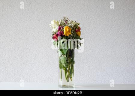 Bouquet de roses flétrissantes colorées et souffle de bébé dans un grand vase en verre contre un mur blanc Banque D'Images