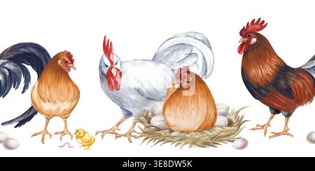 Frontière sans couture avec une famille de cour de ferme. Illustration aquarelle avec des coqs réalistes, des poules, une poule nidifiante avec des œufs, et un petit poussin jaune avec Banque D'Images