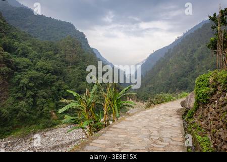 L'image représente un sentier de pierre sinueux à travers une région montagneuse verdoyante près du temple Madmaheshwar dans l'Uttarakhand, en Inde. La sérénité et la paix Banque D'Images