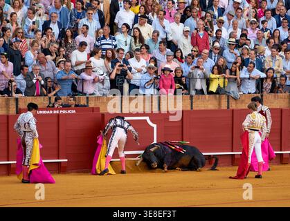 La corrida a lieu dans l'arène de Séville avec les participants et l'observation de la foule. L'arène est remplie de gens qui aiment le sport traditionnel. Banque D'Images