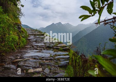 L'image représente un chemin de pierre sinueux menant au temple Madmaheshwar dans les montagnes de l'Uttarakhand, en Inde. Le sentier est entouré de luxuriants Banque D'Images