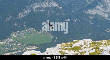 Hallstatt, Autriche – 6 août 2018 : un grand oiseau survole les montagnes alpines et un village de la vallée, symbolisant la liberté et l'échelle contre la rude Banque D'Images