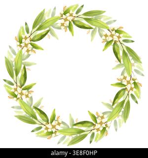 Branche d'olivier fleurie, cadre rond aquarelle. Couronne dessinée à la main avec des brindilles et des feuilles avec des fleurs pour la conception de menu, magasin de ferme, et des cartes. Banque D'Images