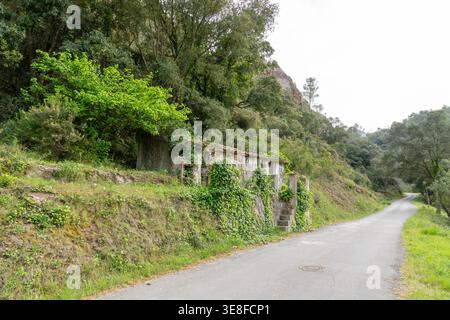 Des ruines de maison en pierre abandonnées couvertes de lierre vert, debout à côté d'une route asphaltée sinueuse, entourée de forêts luxuriantes et de montagnes mettant en valeur la nature Banque D'Images