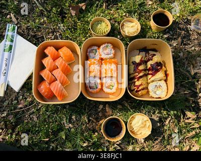 Diverses rouleaux de sushi et nigiri dans des boîtes à emporter posés sur l'herbe en plein air. Concept de pique-nique, livraison de repas et restauration décontractée. Banque D'Images