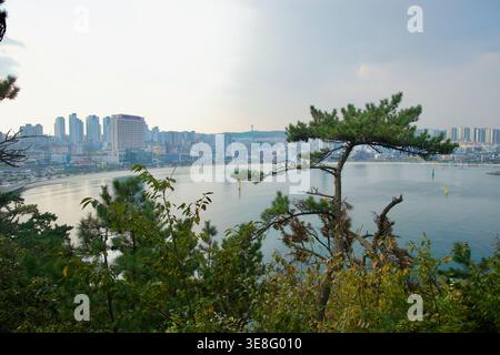 Un belvédère dans le parc Daewangam surplombe la baie d'Ilsan et le front de mer d'Ulsan à l'est, où des immeubles de grande hauteur bordent la courbe brumeuse du rivage. Banque D'Images