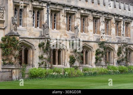 L'architecture est la cour du Magdalen College, Oxford, Royaume-Uni Banque D'Images