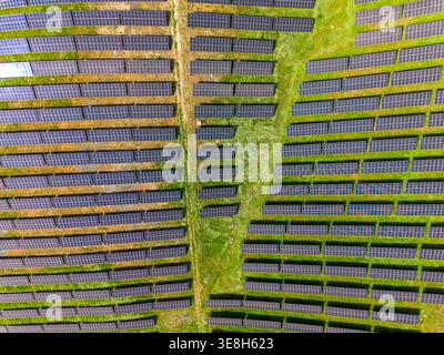 Ce champ de panneaux solaires montre de nombreuses rangées de panneaux solaires disposés soigneusement dans une zone rurale. Les panneaux captent la lumière du soleil et sont entourés d'herbe verte. Banque D'Images