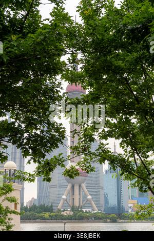 5 mai 2025, Shanghai, Chine : tour de perles orientales derrière les arbres à Shanghai Banque D'Images