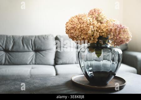 Beau bouquet d'hortensias pastel sec dans un vase en verre gris à l'intérieur de la maison près du canapé dans le salon. Gros plan Banque D'Images