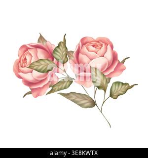 Illustration botanique élégante avec fleurs de roses roses et de feuilles vertes. Esthétique dessinée à la main. Banque D'Images