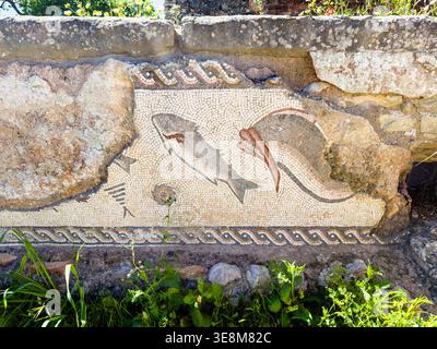 Mosaïque romaine antique représentant poissons et créatures marines sur les ruines au Portugal ruines romaines de Milreu Banque D'Images
