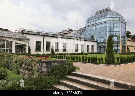CRACOVIE, POLOGNE - 3 JUILLET 2021 : plantes au jardin botanique de l'Université Jagellonian à Cracovie, Pologne. Banque D'Images