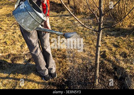 Arroser jeune arbre dans le jardin ensoleillé. Personne arrose un jeune arbre avec un arrosoir en métal dans un jardin sec, montrant le soin des plantes, la croissance et la saison Banque D'Images