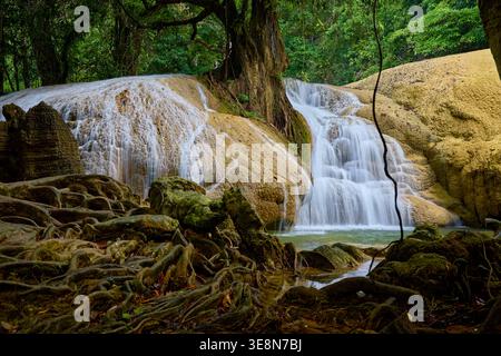 Cascade sereine au-dessus de Mossy Rocks dans une forêt luxuriante Banque D'Images