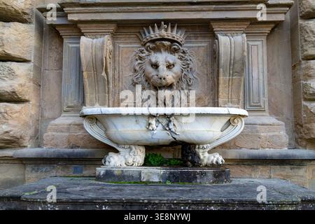 Fontaine en marbre altéré ornée d'une sculpture royale en tête de lion avec une couronne, posée contre un mur de pierre texturé Banque D'Images