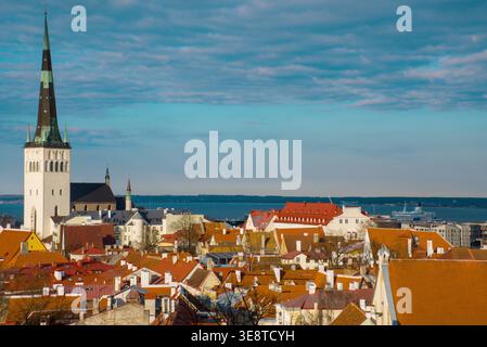 Cette superbe prise de vue aérienne capture les toits et flèches historiques de la vieille ville de Tallinn, en Estonie, mettant en valeur son riche patrimoine architectural Banque D'Images