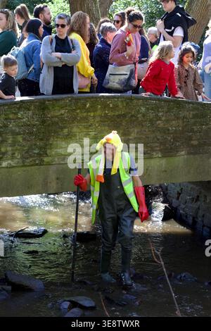 Un membre du personnel de l'événement émerge de sous le pont pendant la course de canard d'Endcliffe Park alors que les spectateurs regardent d'en haut – Sheffield, Royaume-Uni, 6 avril 2026 Banque D'Images