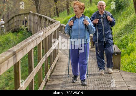 Couple senior randonnée à travers un sentier de montagne pittoresque par une journée ensoleillée. Homme âgé actif et femme marchant avec des bâtons de trekking parmi la forêt d'automne, enj Banque D'Images