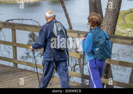 Couple senior randonnée à travers un sentier de montagne pittoresque par une journée ensoleillée. Homme âgé actif et femme marchant avec des bâtons de trekking parmi la forêt d'automne, enj Banque D'Images