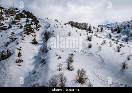 Une vue panoramique sur une colline enneigée avec des pistes de ski et des arbres éparpillés. Les courbes douces des pistes créent une atmosphère hivernale tranquille. Banque D'Images
