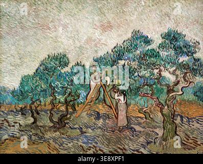 Van Gogh. Cette œuvre de Vincent Van Gogh montre des gens récoltant des olives dans un paysage avec des oliviers. Il capture un moment de travail dans la nature. Banque D'Images