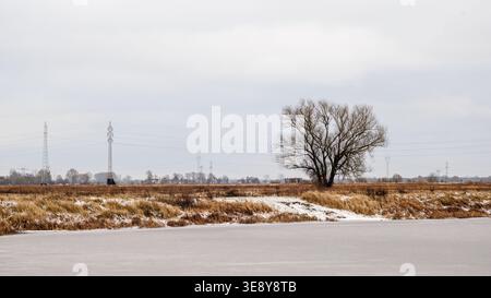 Un grand arbre sans feuilles se dresse sur la rive enneigée d'une rivière gelée. Les lignes électriques sont en arrière-plan. Paysage rural. Banque D'Images