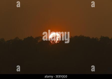 Superbe coucher de soleil lumineux derrière la silhouette sombre des arbres de la forêt sur le ciel orange profond du soir créant calme, calme, majestueux et admiration n Banque D'Images