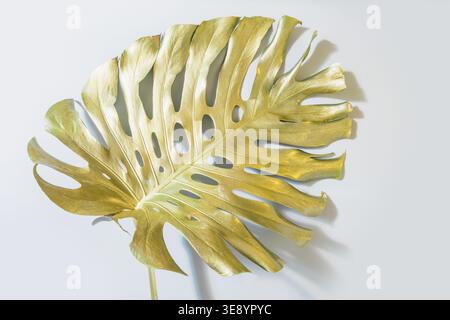 Feuille de monstera dorée isolée sur fond blanc, concept de design tropical de luxe, esthétique minimale avec espace de copie pour la marque et l'advertis premium Banque D'Images