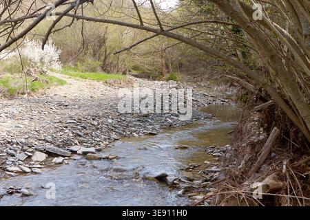 Le ruisseau serpente à travers un paysage rocheux avec des arbres et des arbustes bordant les rives, avec des parcelles d'herbe et de plantes à fleurs dans un environnement serein Banque D'Images