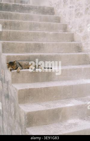 Scène calme de chat endormi enroulé sur des marches de pierre ensoleillées dans un cadre urbain tranquille Banque D'Images