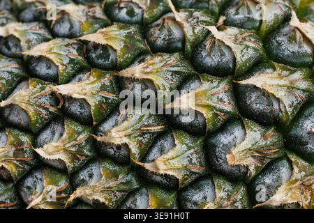 Macro élargi de la peau de potiron non mûr, Ananas comosus écailles hexagonales vert foncé avec des bordures ambrées, format horizontal. Motif géométrique répétitif Banque D'Images