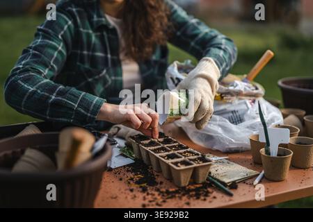 Mains de femme dans des gants de travail plaçant soigneusement les graines de plantes dans des pots de semis biodégradables remplis de terre, se préparant à une nouvelle croissance et durable Banque D'Images
