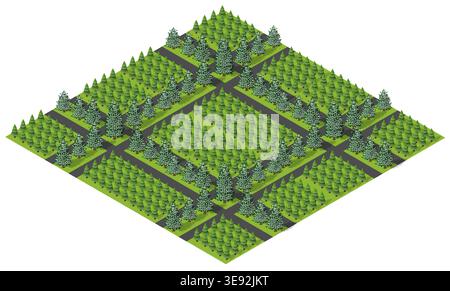 Parc de la ville isométrique avec motif carré d'arbres et de chemins Illustration de Vecteur