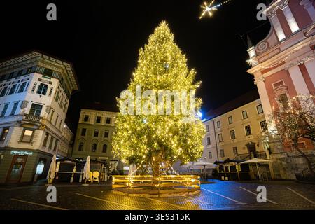Arbre de noël illuminé debout sur une place historique de la ville européenne pendant les vacances d'hiver. Ljubljana, slovénie Banque D'Images