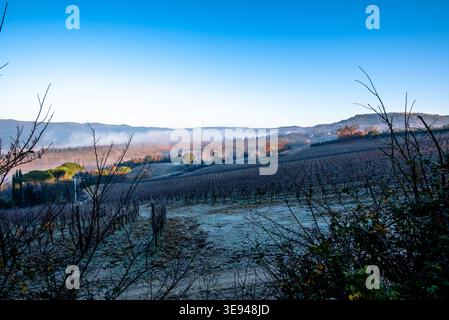 Rangées de vignobles couvertes de gel avec collines brumeuses dans la campagne italienne. Convient pour l'hiver, l'agriculture, la production de vin et les concepts de paysage. Banque D'Images