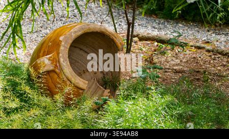 Pot en terre cuite brisée envahi de plantes vertes dans le jardin Banque D'Images