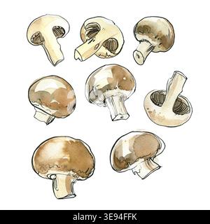Champignons. Champignon. Esquissez l'aquarelle et l'encre de trait sur un fond blanc. Banque D'Images