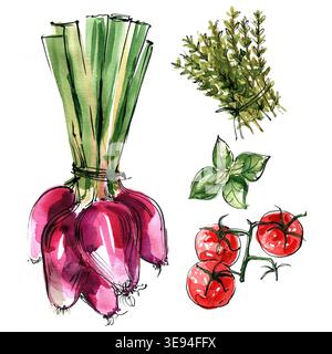 Oignon rouge italien, tomates cerises, thym. Légumes peints à l'aquarelle sur un fond blanc. Nombre d'aliments colorés. Banque D'Images