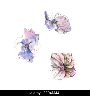 Fleurs douces avec quatre pétales en lilas pastel, tons roses et bleus avec bords lâches, éléments floraux délicats. Illustration isolée dessinée à la main Banque D'Images
