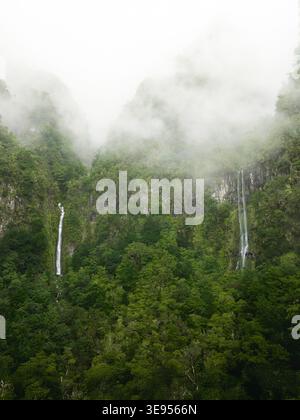 Vue aérienne de deux cascades descendant en cascade des falaises verdoyantes entourées d'épais brouillard blanc et brouillard à Serra de Agua, Madère, Portugal. Banque D'Images