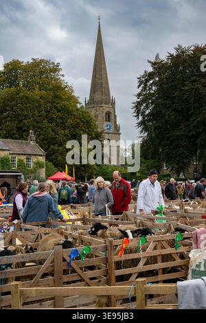 Stand de moutons Dalesbred primé dans les enclos, exposition agricole (visiteurs à la recherche) - Busy Masham Sheep Fair 2025, North Yorkshire, Angleterre, Royaume-Uni. Banque D'Images