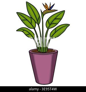 Fleur oiseau de Paradis dans un pot violet, illustration vectorielle Illustration de Vecteur