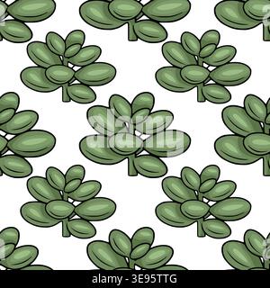 Modèle vectoriel sans couture de plantes succulentes vertes avec des feuilles arrondies sur un fond blanc Illustration de Vecteur