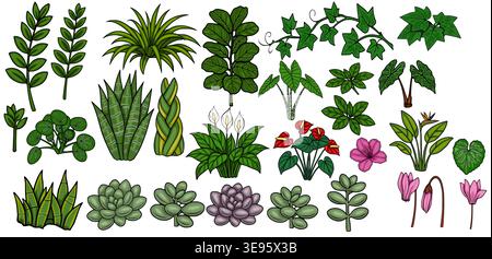 Ensemble vectoriel de diverses plantes d'intérieur décoratives et éléments botaniques, isolé sur fond blanc. Illustration de Vecteur
