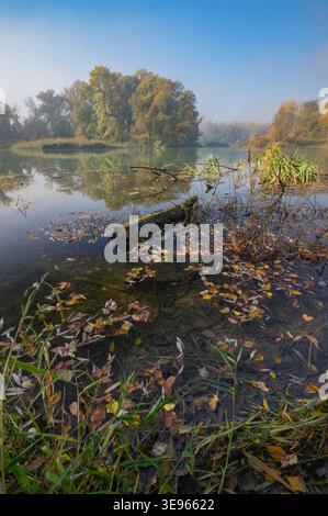Vue sur le lac tranquille de l'arc-en-ciel reflétant le ciel, avec des feuilles tombées dispersées sur la surface de l'eau et le rivage à Bodiky, région de Trnava, Slovaki Banque D'Images